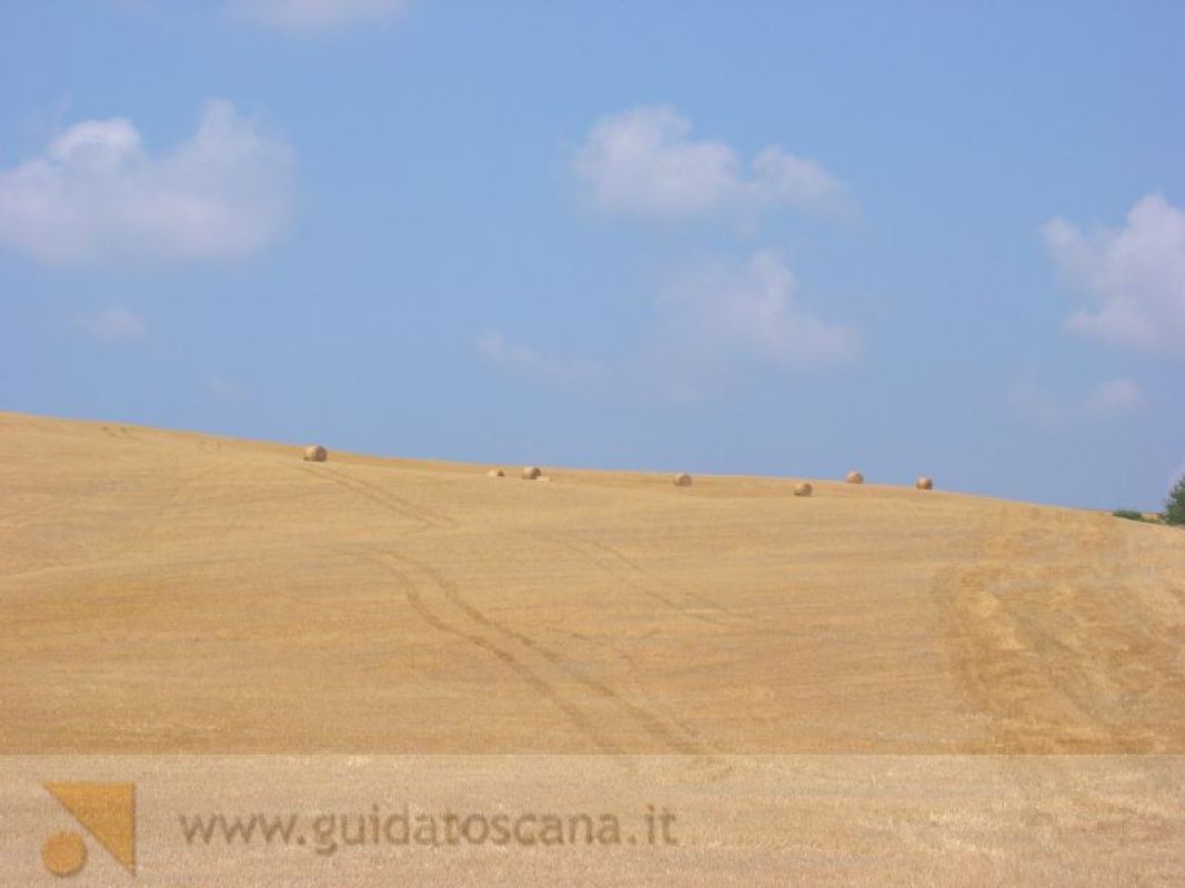Paesaggio toscano