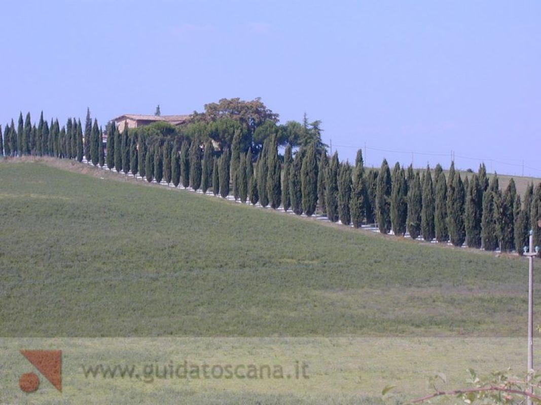 Paesaggio toscano, San Gimignano