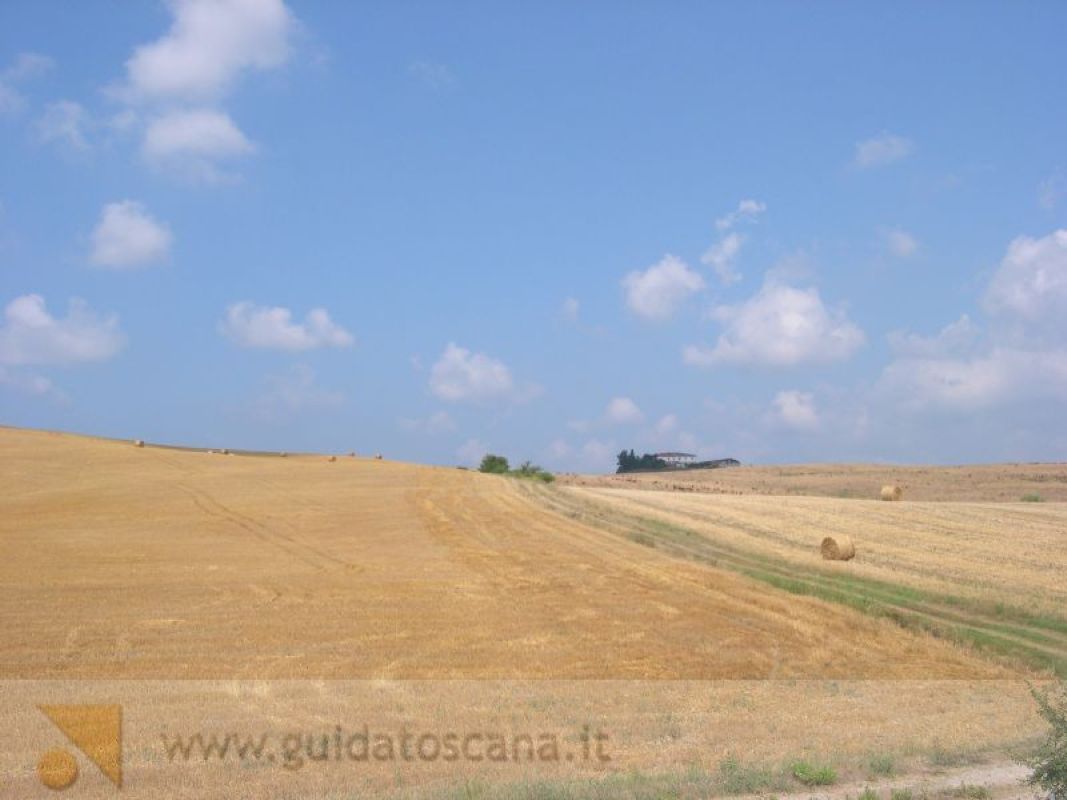Paesaggio toscano