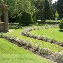 Granja en Bolgheri