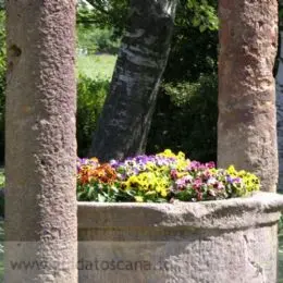 Bolgheri, Brunnen auf dem Bauernhof