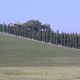 Paesaggio toscano, San Gimignano