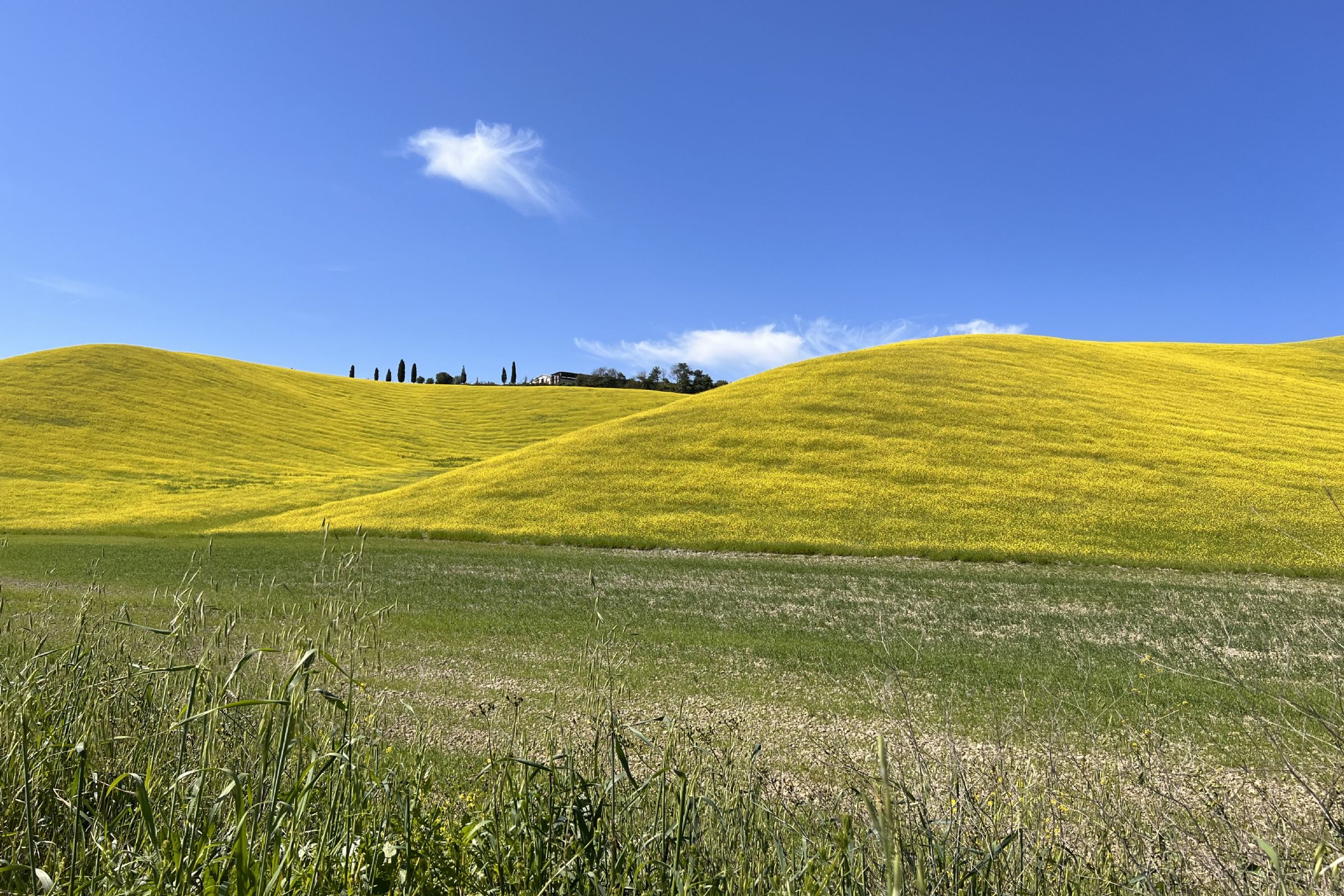 Colline toscane