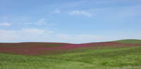 Colline Arezzo