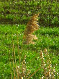 Landschaft der Toskana