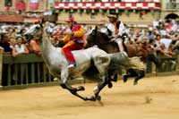 Palio de Siena